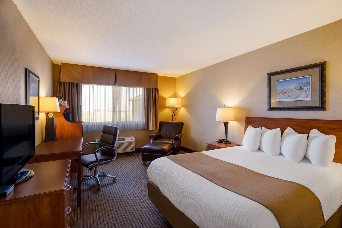 A hotel room with a large bed, a desk with a TV, a chair, a desk lamp, and a picture on the wall.