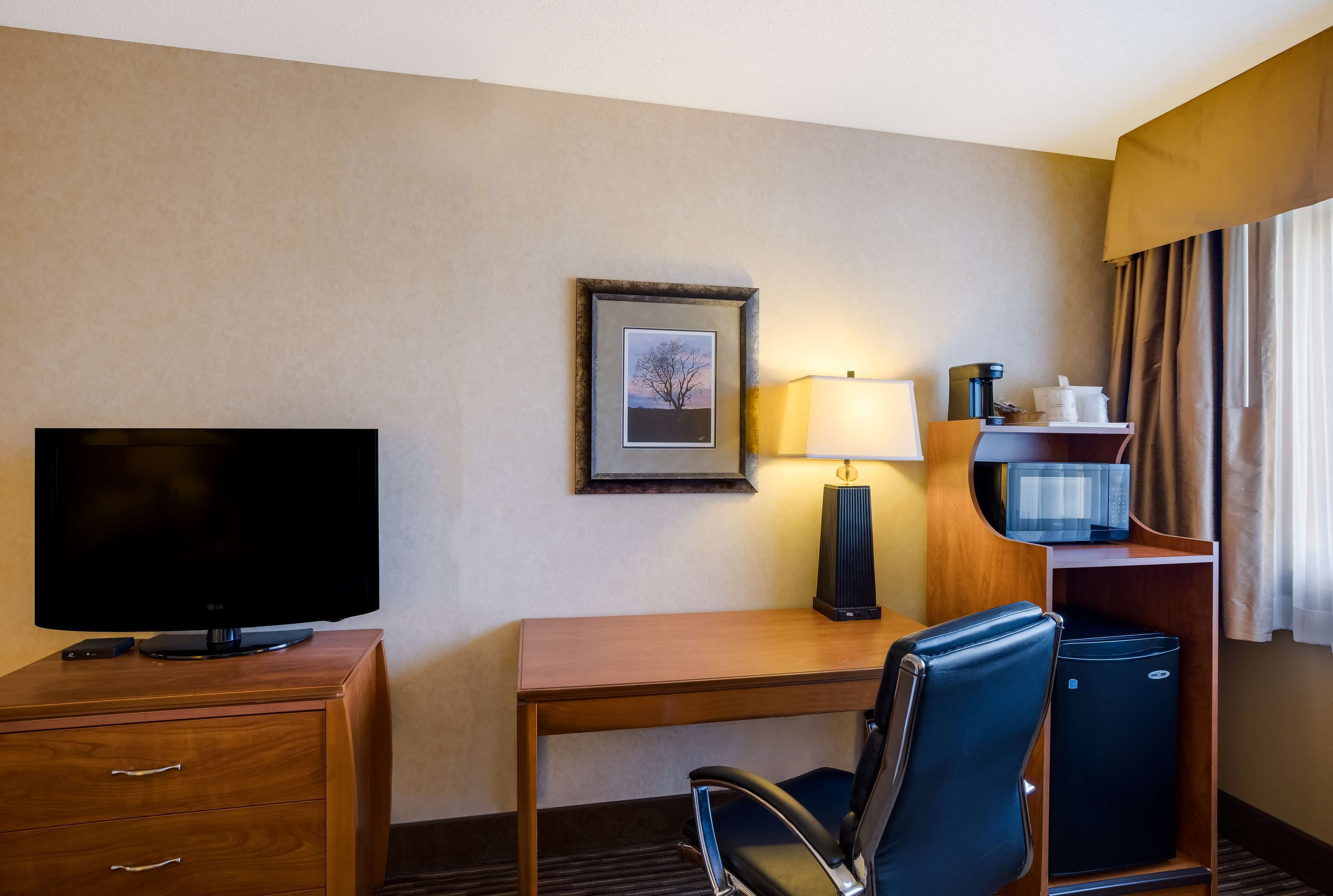 standard room, 1 queen bed, accessible, refrigerator & microwave (walk-in shower) | room amenity