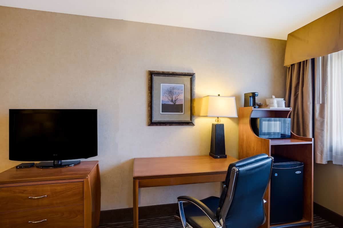 standard room, 1 queen bed, accessible, refrigerator & microwave (walk-in shower) | room amenity