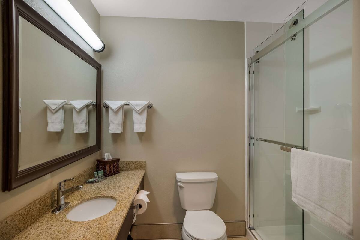Bathroom | Combined shower/tub, free toiletries, hair dryer, towels