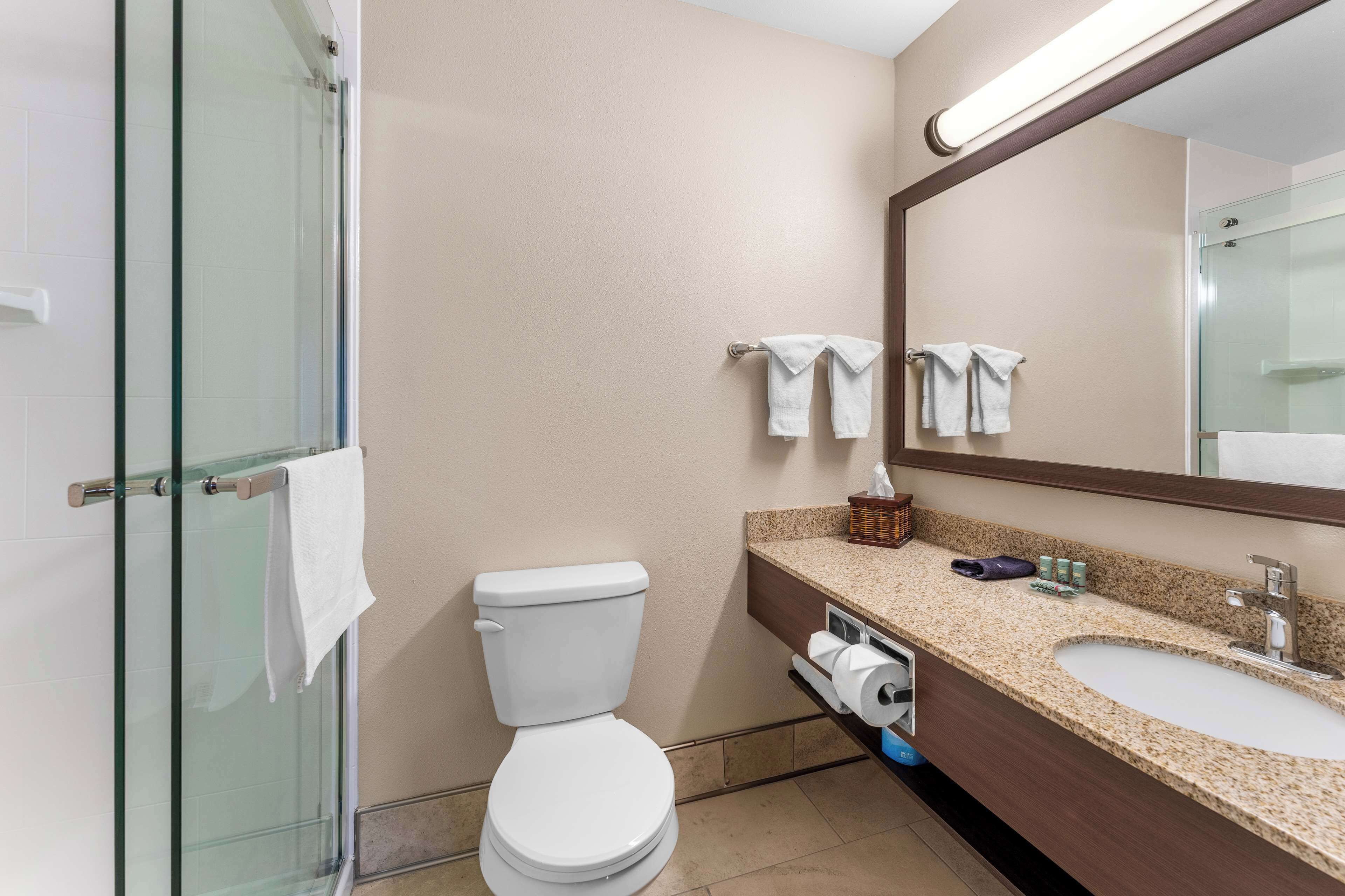suite, 1 queen bed, non smoking, kitchenette (with sofabed) | bathroom | combined shower/bathtub, free toiletries, hair dryer, towels