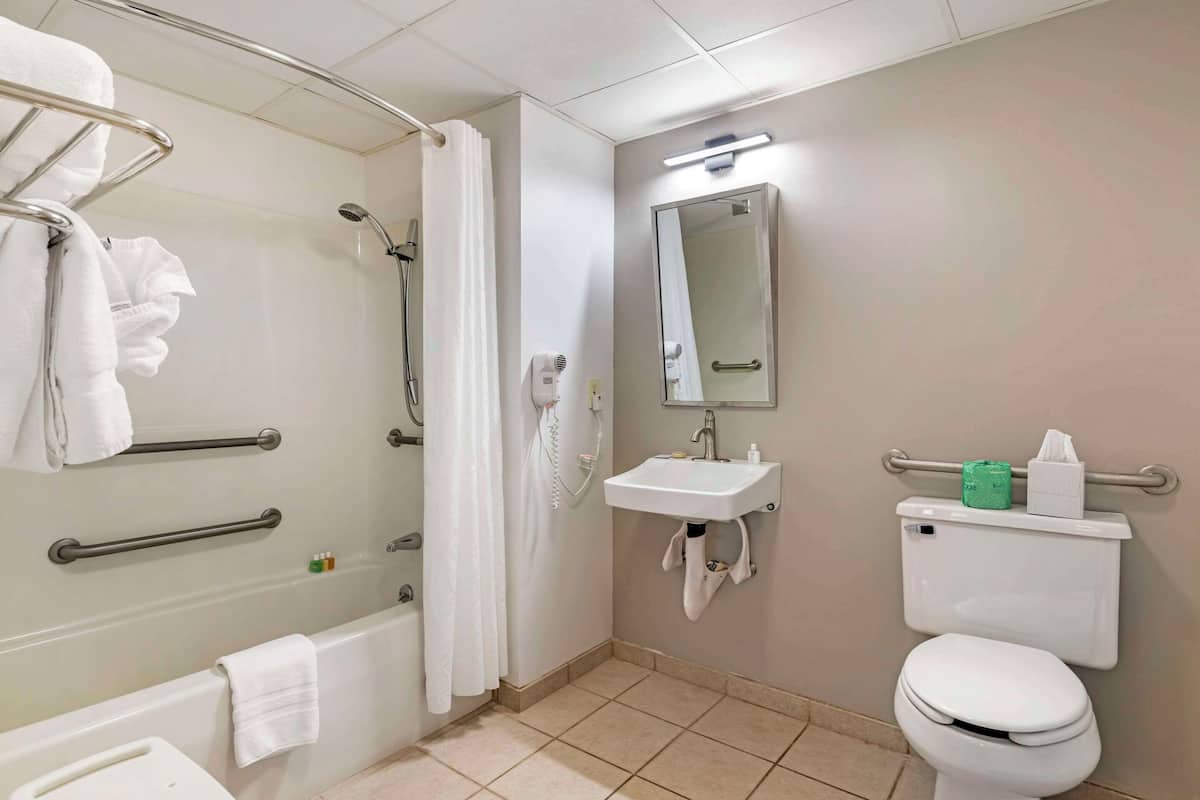 room, 1 queen bed, accessible, non smoking | desk, iron/ironing board, free wifi, bed sheets