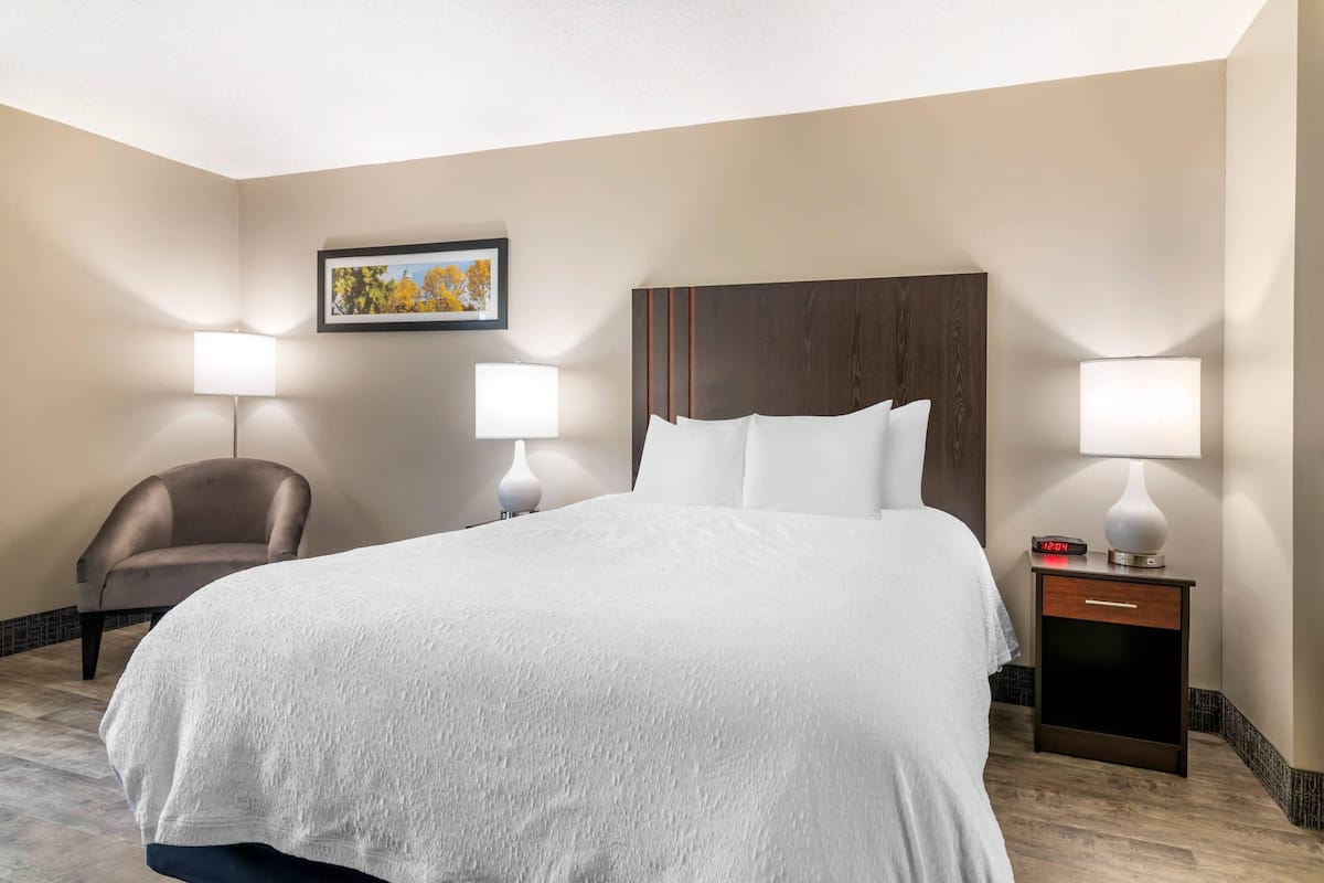 Desk, iron/ironing board, free WiFi, bed sheets