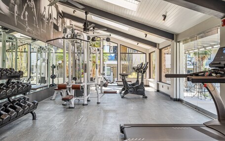 A modern gym with various exercise equipment, large windows, and a view of the outside.