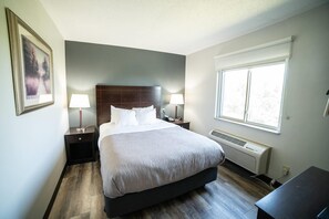 A neatly arranged hotel room with a large bed, bedside lamps, a window with blinds, and a radiator. - Quality Inn & Suites Watertown near Prairie Lakes Ice Arena (Watertown)