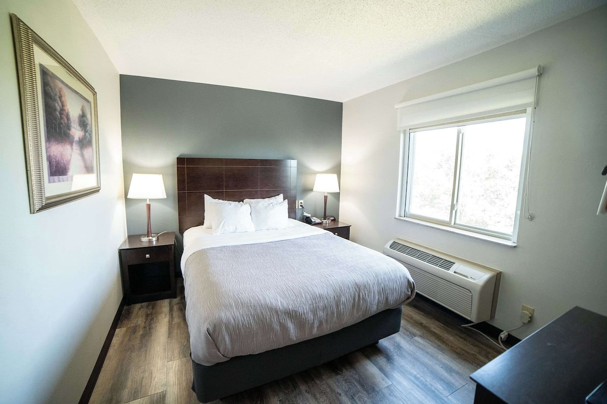 Suite, 1 Queen-Bett und Schlafsofa, Nichtraucher (Upgrade) | Hochwertige Bettwaren, Pillowtop-Betten, Schreibtisch