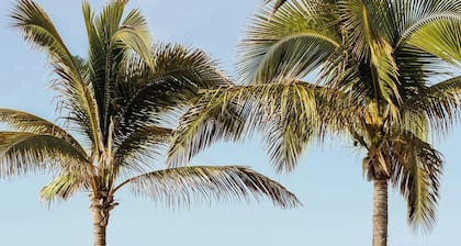 The Westin Los Cabos Resort Villas