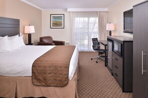 Desk, laptop workspace, iron/ironing board, free WiFi - Best Western Capistrano Inn (San Juan Capistrano)