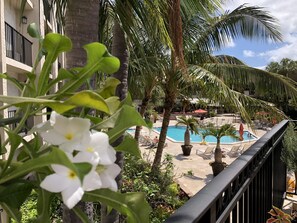 Balcony view - Wyndham Boca Raton Hotel (Boca Raton)