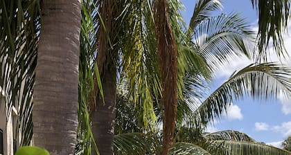 Wyndham Boca Raton Hotel