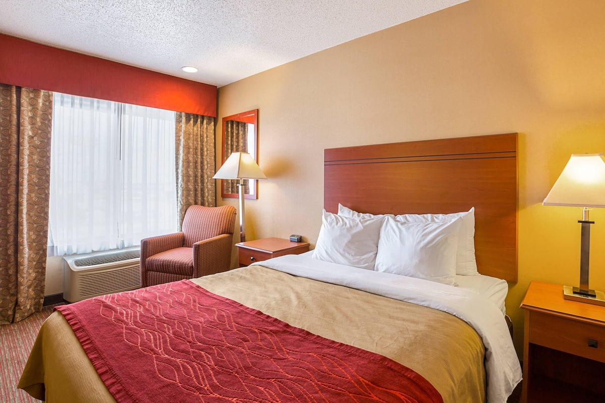 Standard Room, 1 Queen Bed, Non Smoking | Premium bedding, in-room safe, desk, iron/ironing board