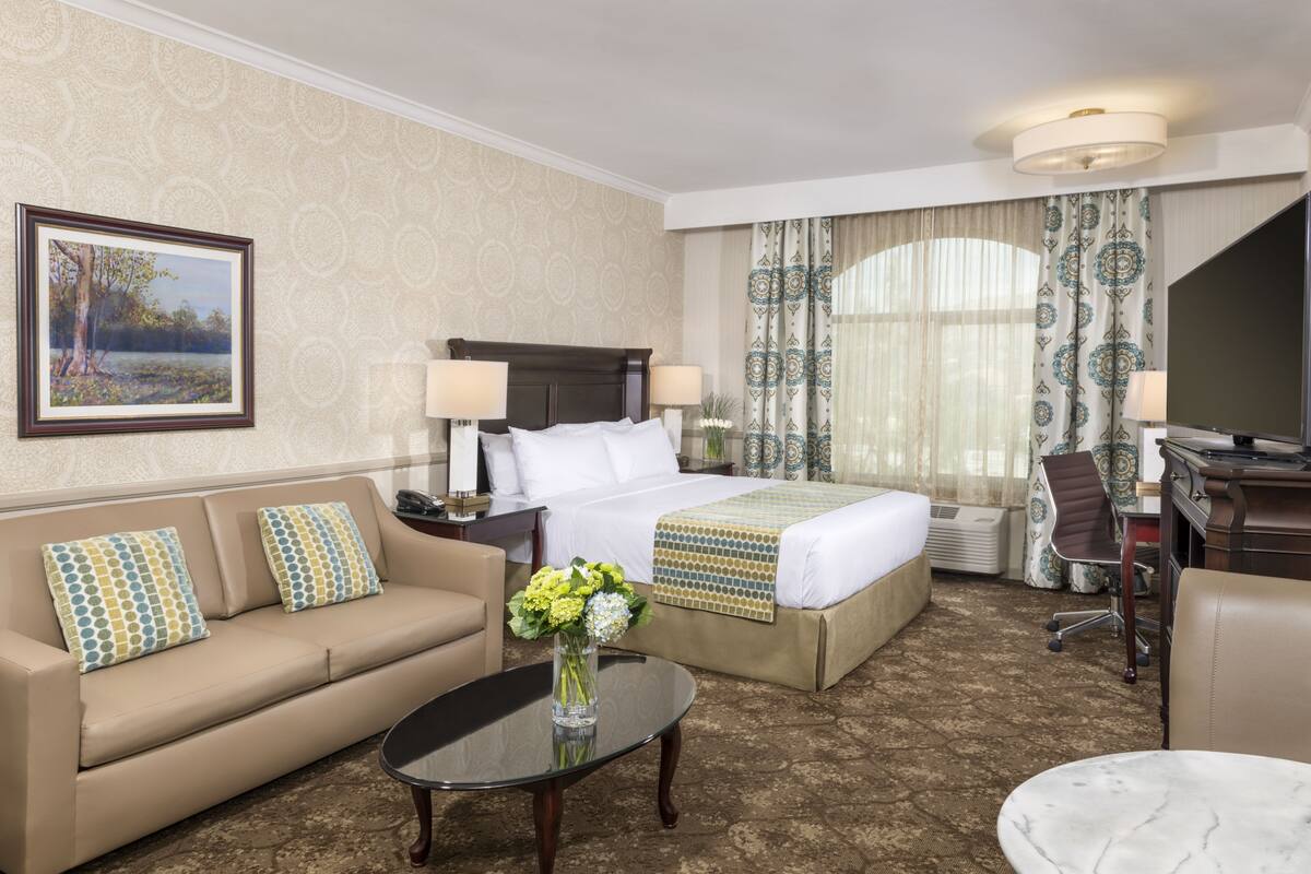 A hotel room with a bed, a sofa, a desk, and a coffee table.