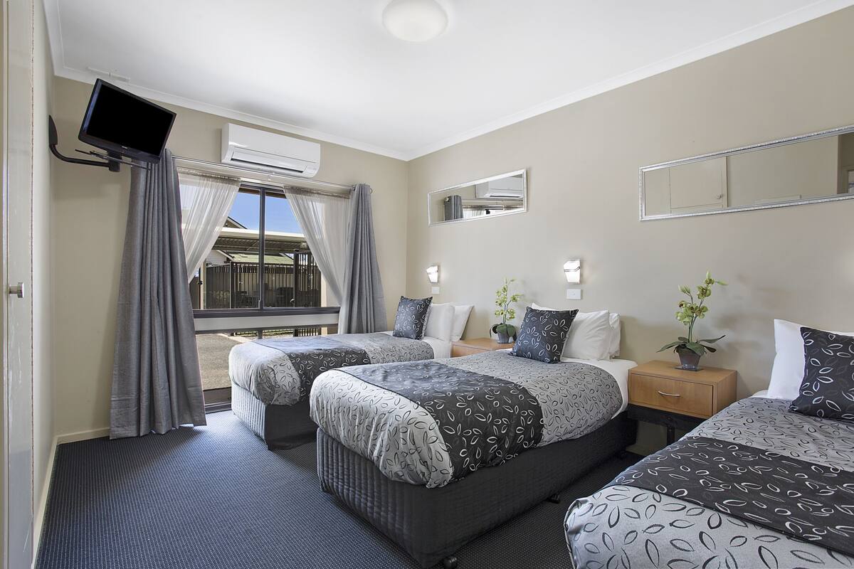 A hotel room with two beds, a TV, a window with curtains, a mirror, and a bedside table with a plant.