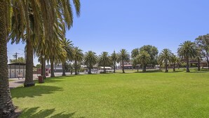 Un área con césped, palmeras y un edificio al fondo.
