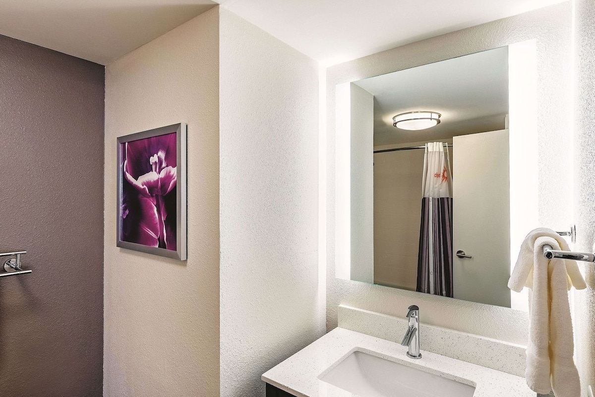 Baño | Amenidades de baño gratuitas, secadora de cabello, toallas