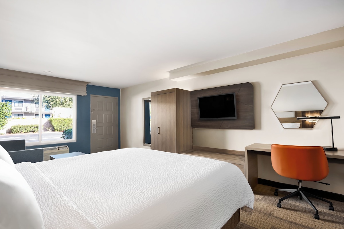A hotel room with a bed, a desk, a chair, a television, and a window with a view of buildings and greenery.