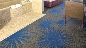 A hotel room with a large bathtub, a bed, a chair, and a desk.