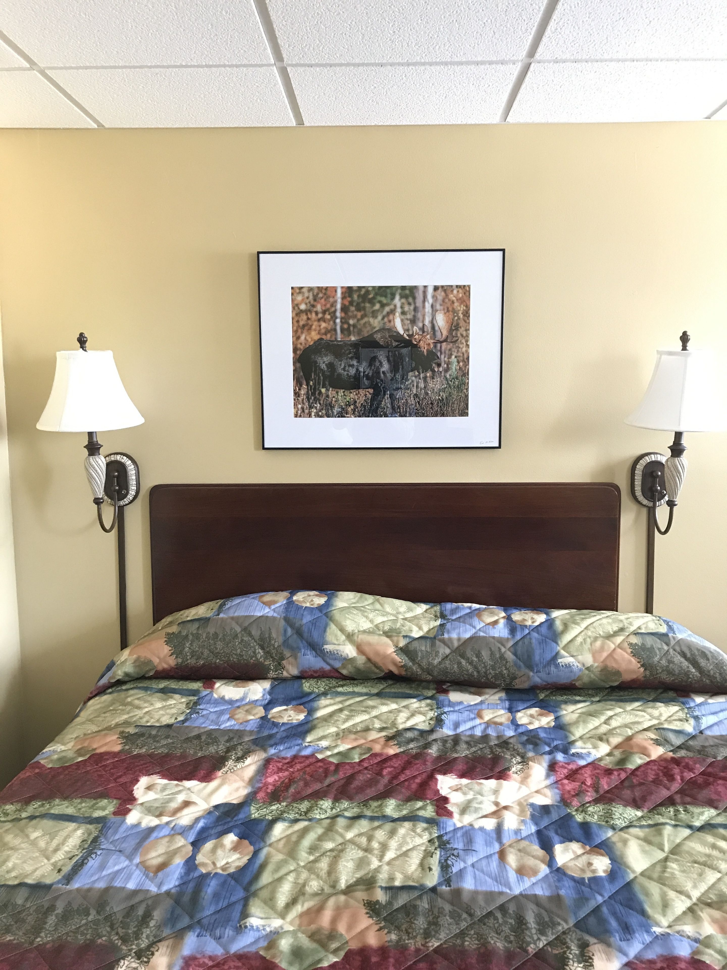 A hotel room with a bed, a framed picture of a bull on the wall, and two bedside lamps.