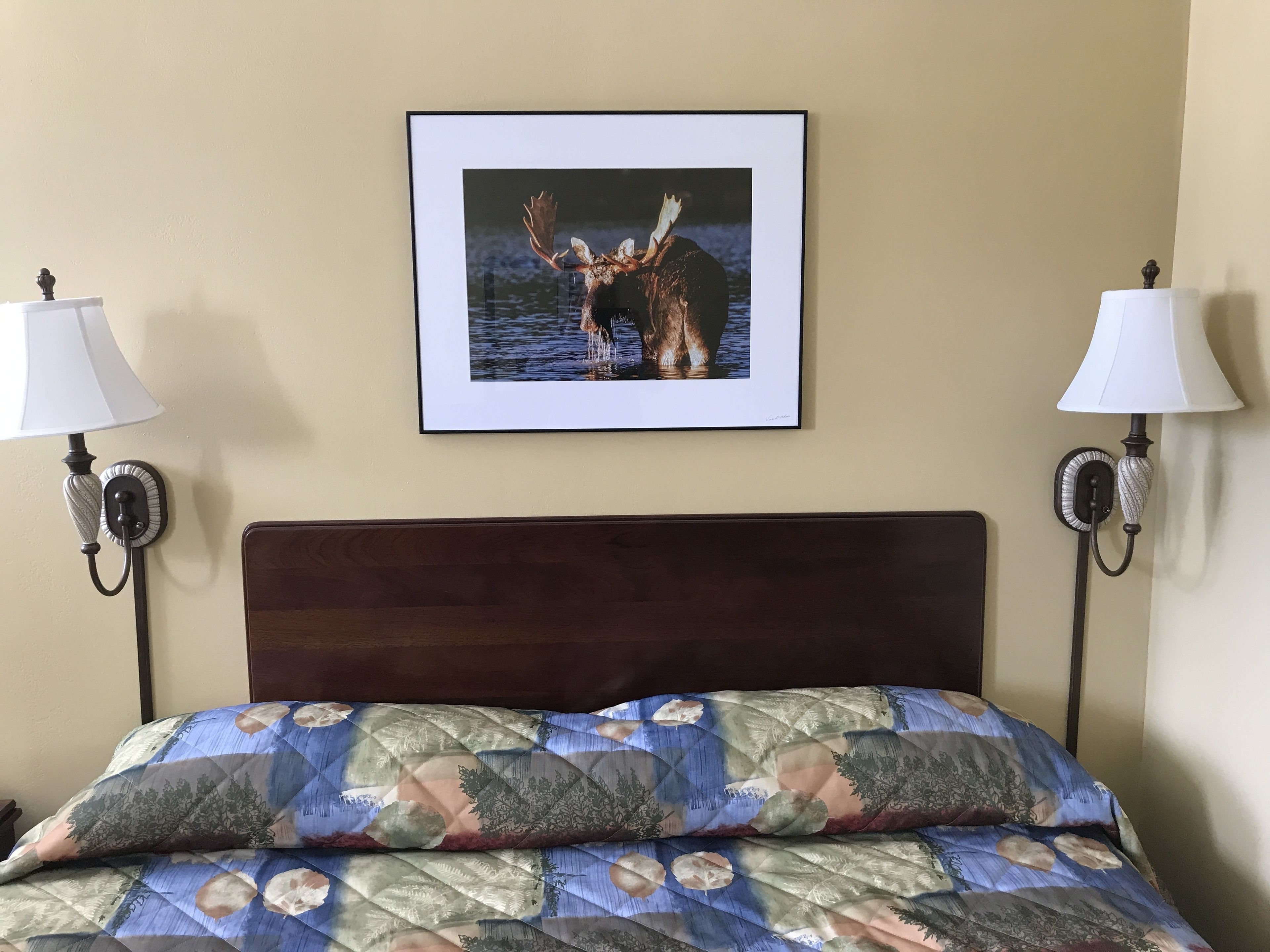 Un lit recouvert d’une courtepointe à motifs floraux, une photographie encadrée d’animaux sauvages accrochée au mur, et deux lampes fixées au mur.