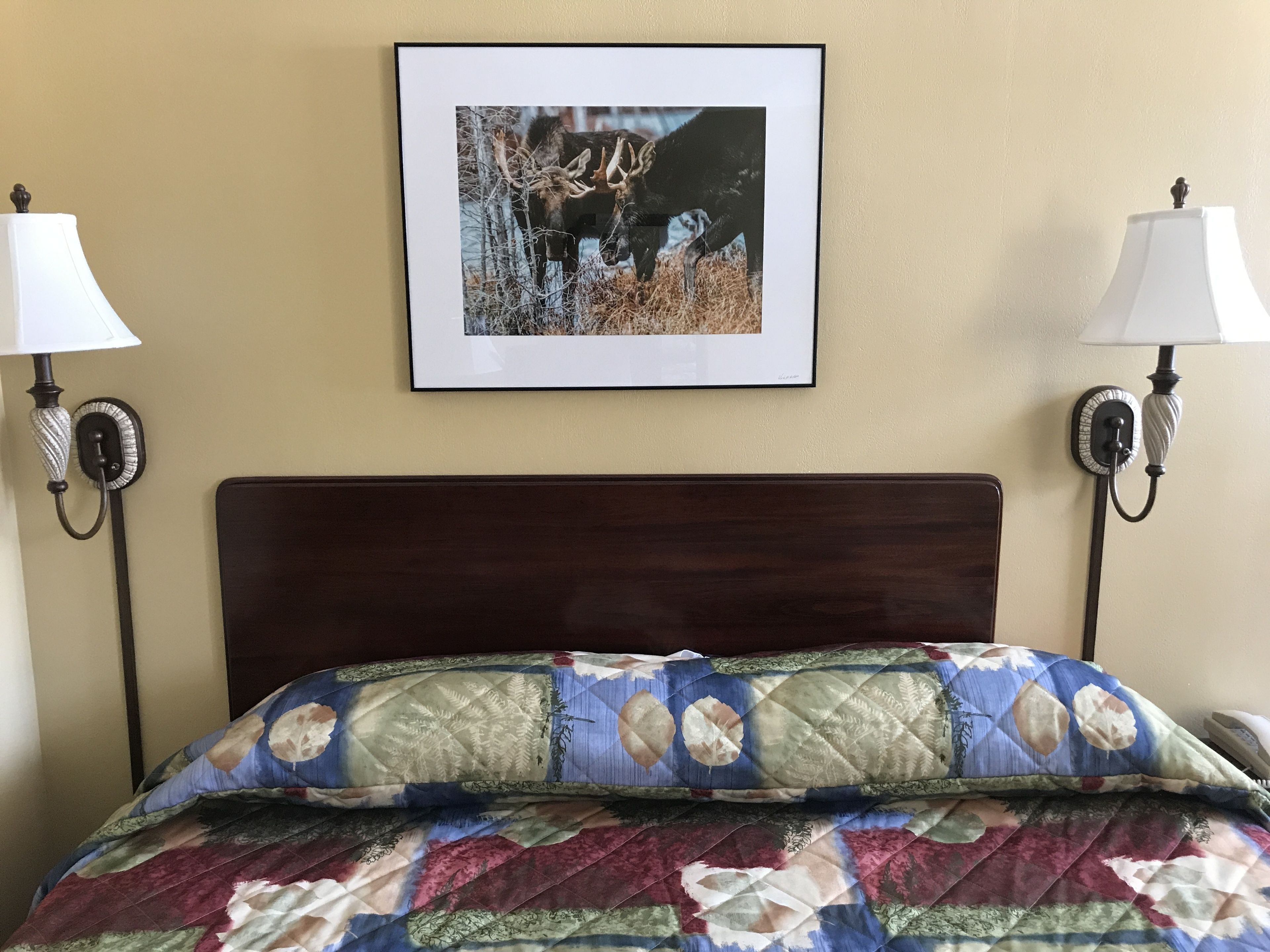 Una cama con colcha, dos lámparas de pared y un cuadro enmarcado de alces en la pared.