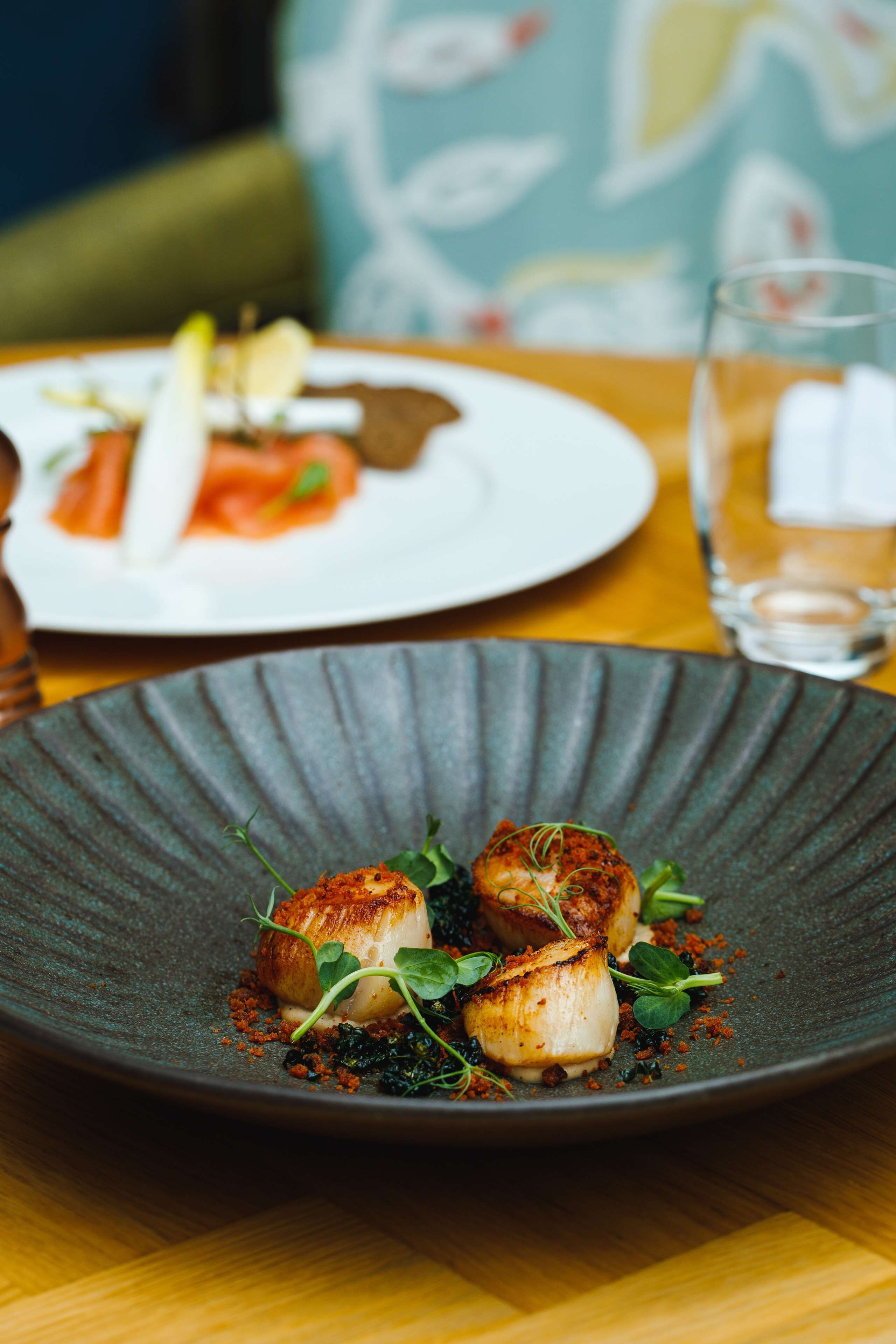 A plate of seared scallops with greens and a textured crust, set on a dark plate.