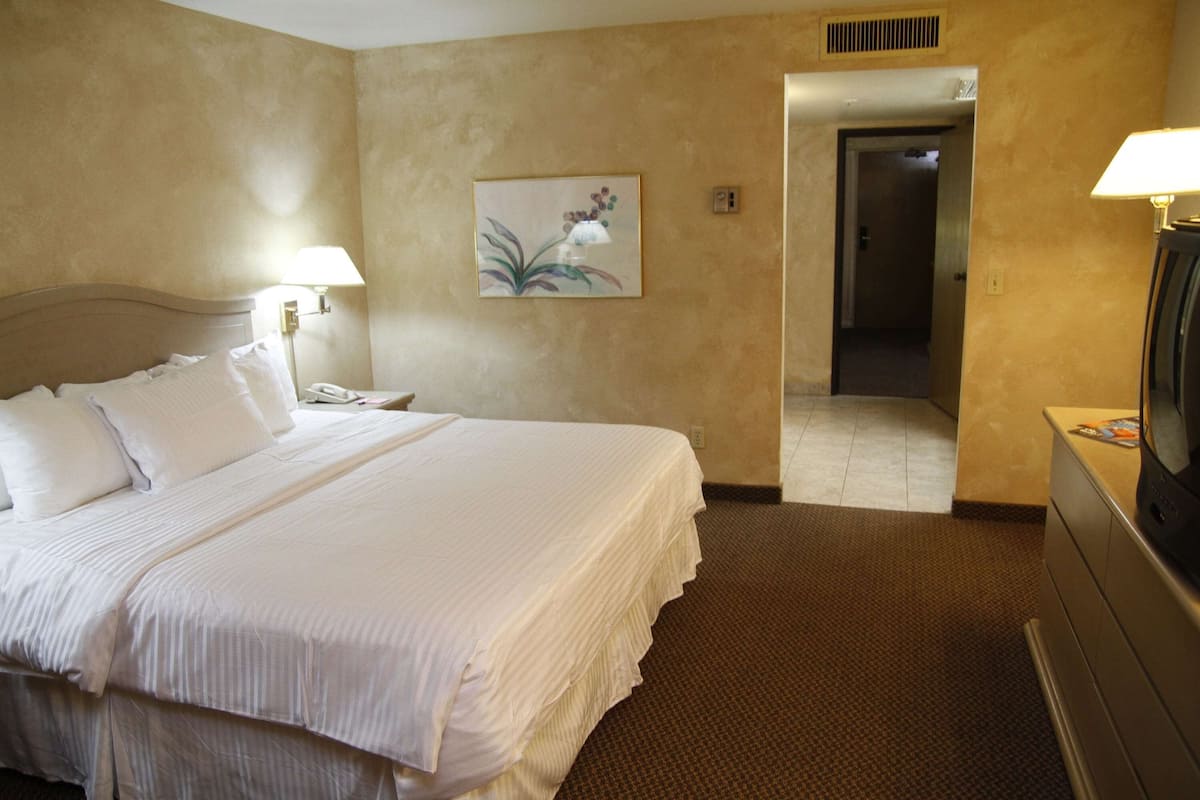 A hotel room with a large bed, two bedside lamps, a flat-screen TV, and a painting on the wall.