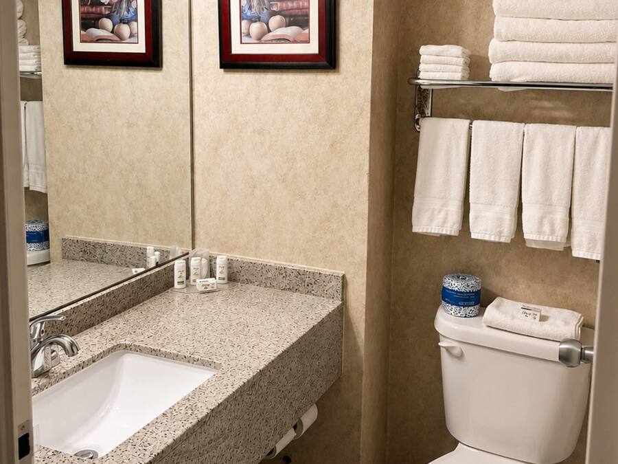 Un baño con lavamanos, espejo, inodoro y toallero.