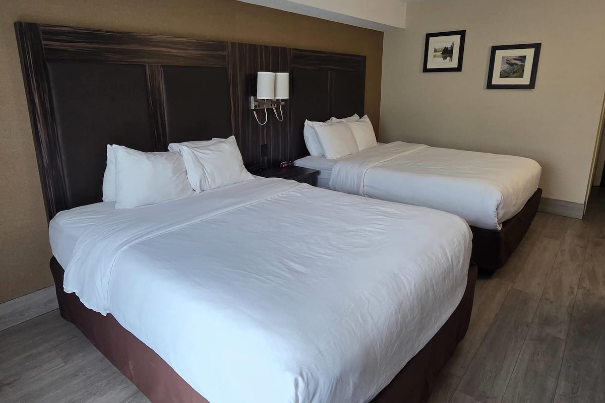 Roupas de cama premium, cortinas blackout, ferros/tábuas de passar roupa