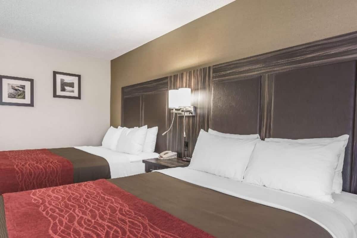 A hotel room with two beds, a nightstand with a lamp, and framed pictures on the wall.