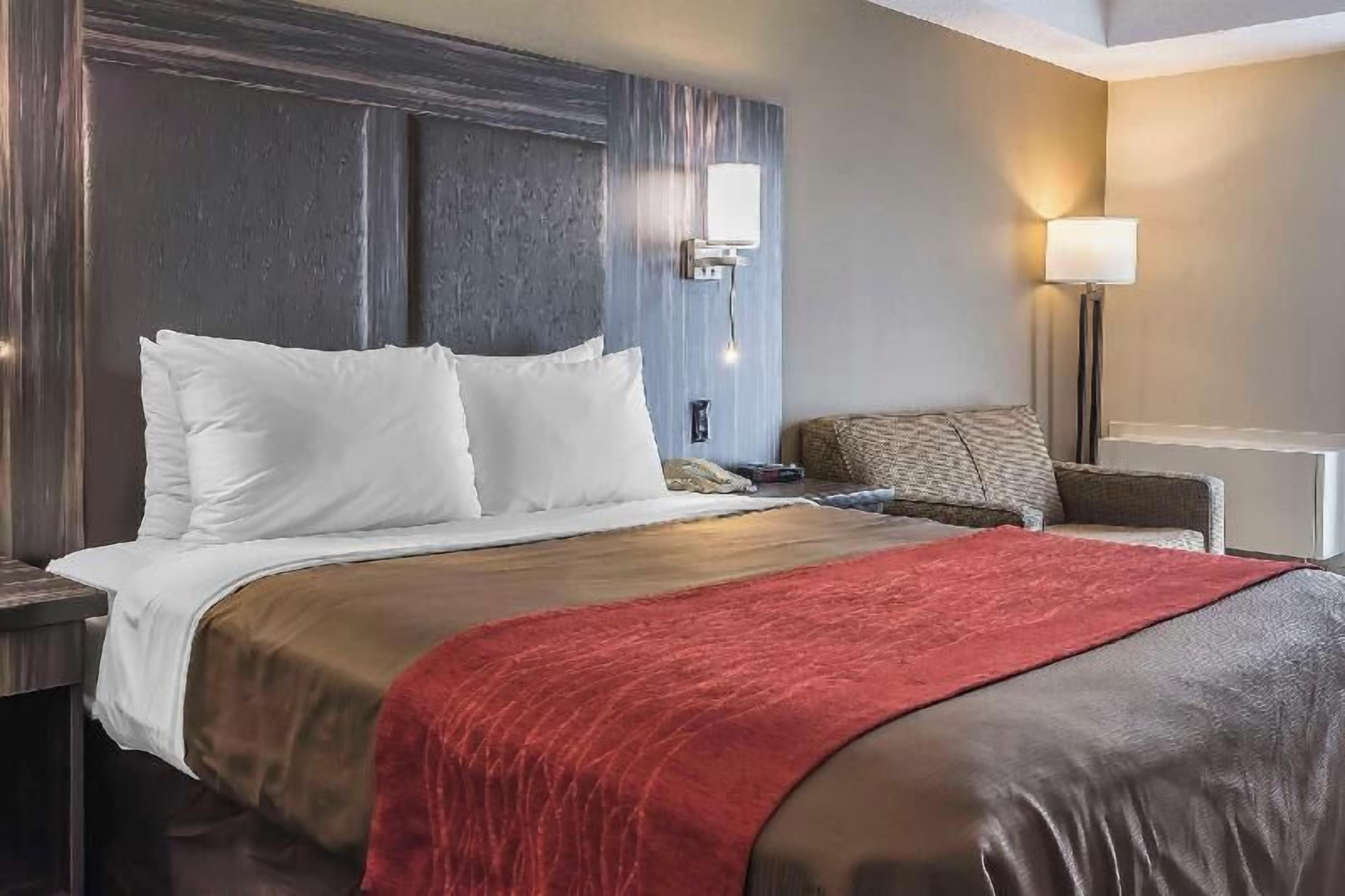 Premium bedding, blackout curtains, iron/ironing board