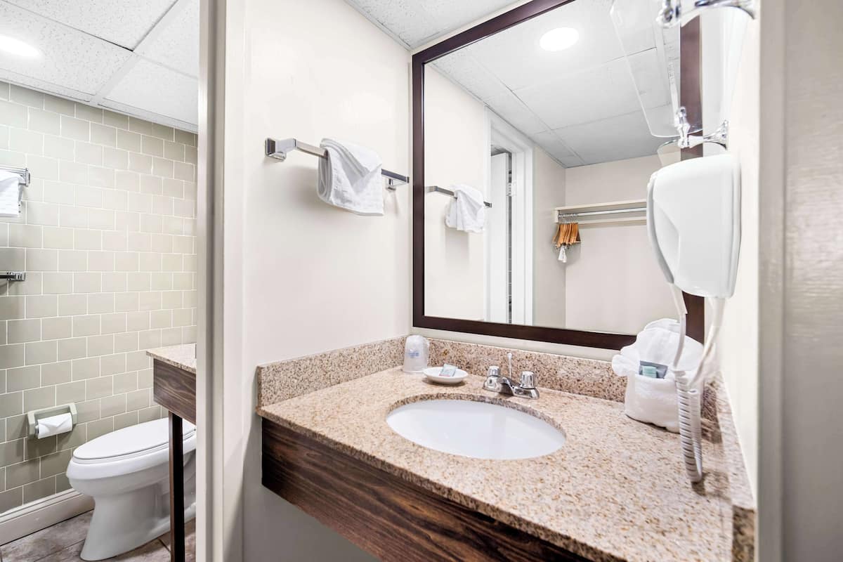 combined shower/bathtub, free toiletries, hair dryer, towels