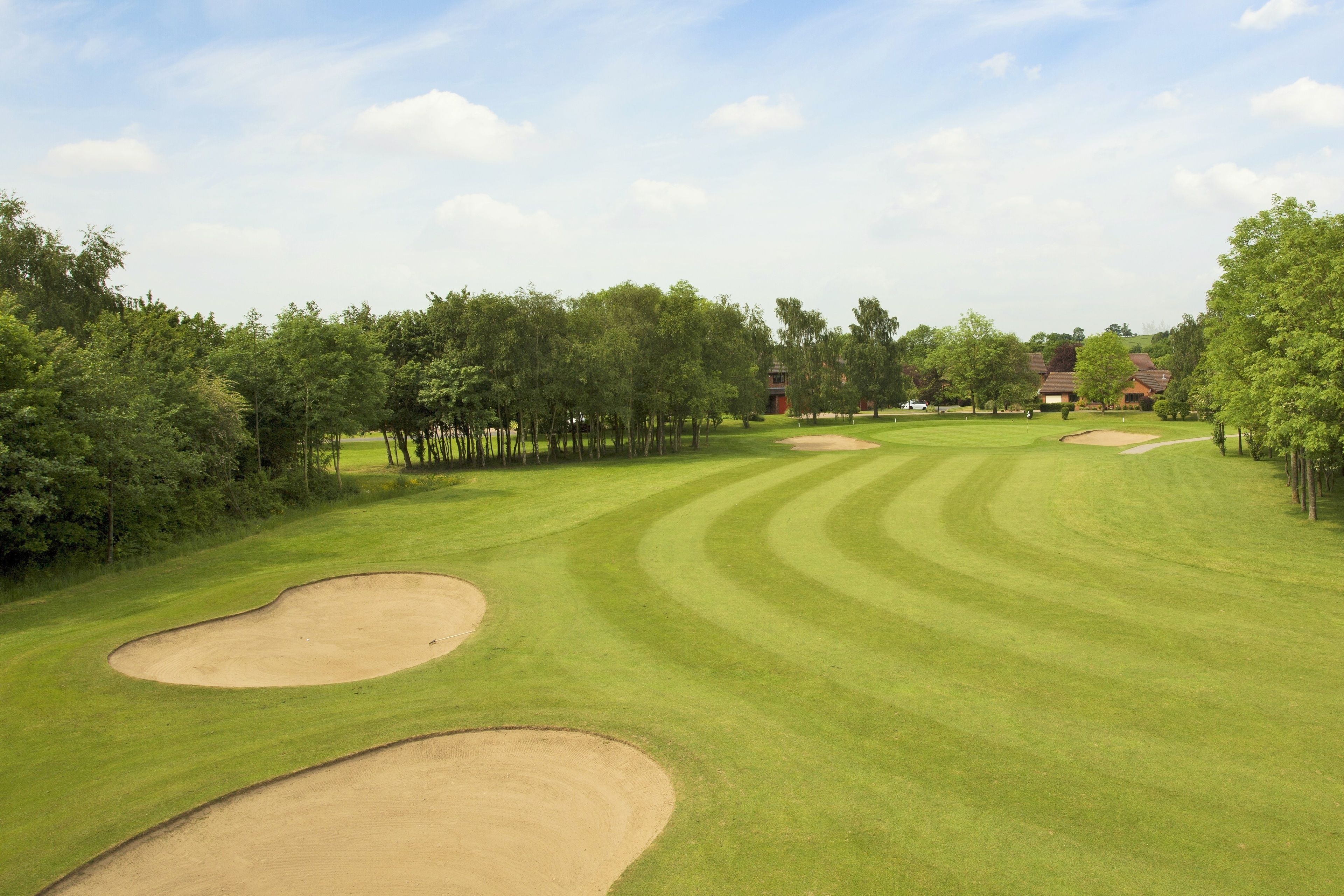 A golf course with bunkers, trees, and a building in the background.