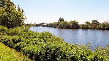 A river with dense greenery and trees on both sides.