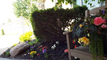 Jardin
