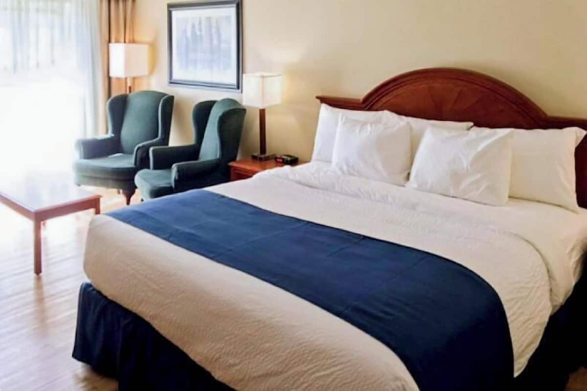 Ein Hotelzimmer mit Bett, zwei Stühlen, einem Nachttisch und einer Lampe.