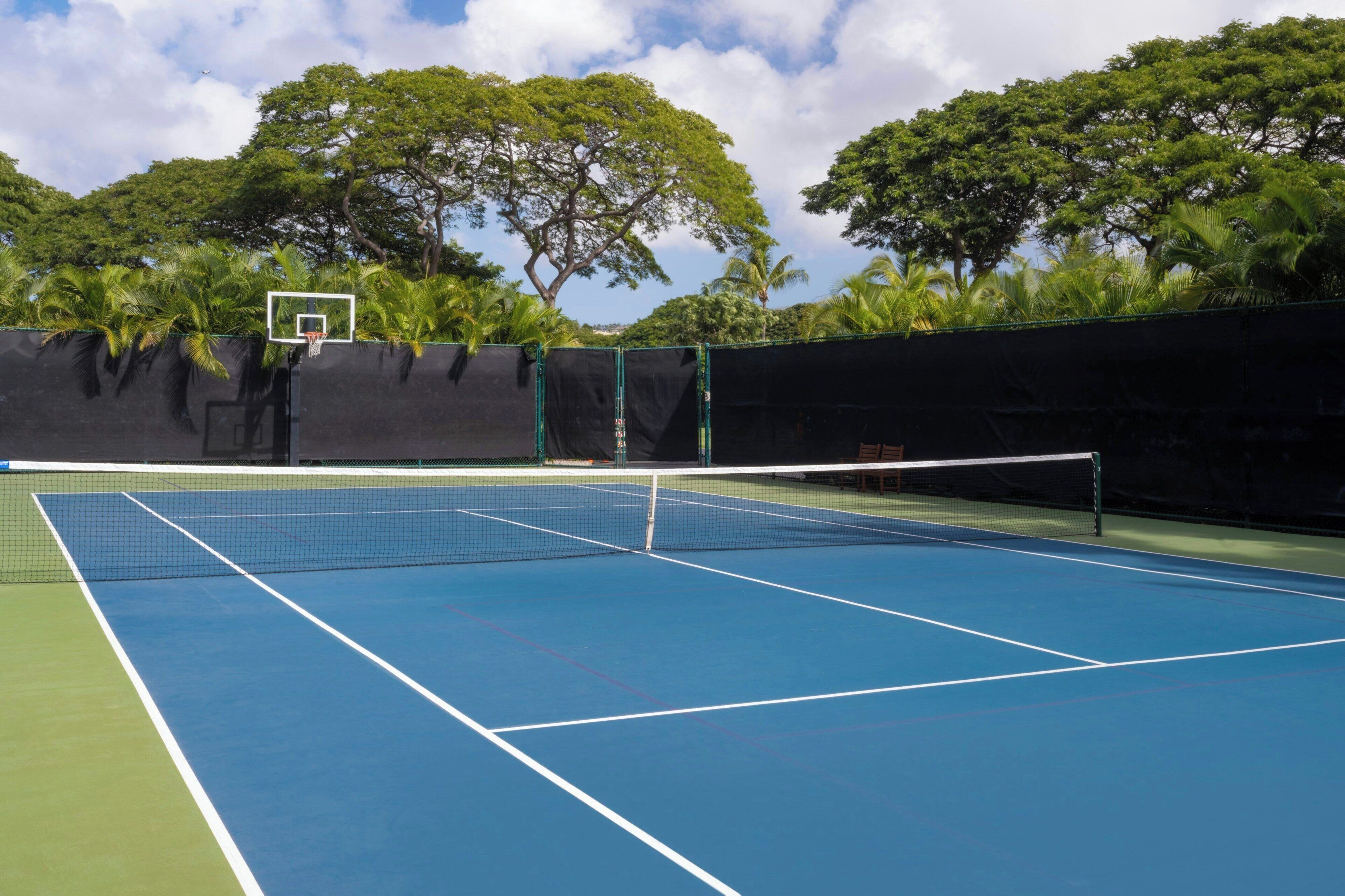 Un court de tennis avec un filet, entouré d’une clôture verte et d’arbres.