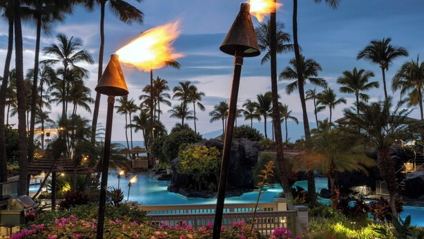 Een zwembadterrein van een resort met palmbomen, een zwembad en een tiki-fakkel.