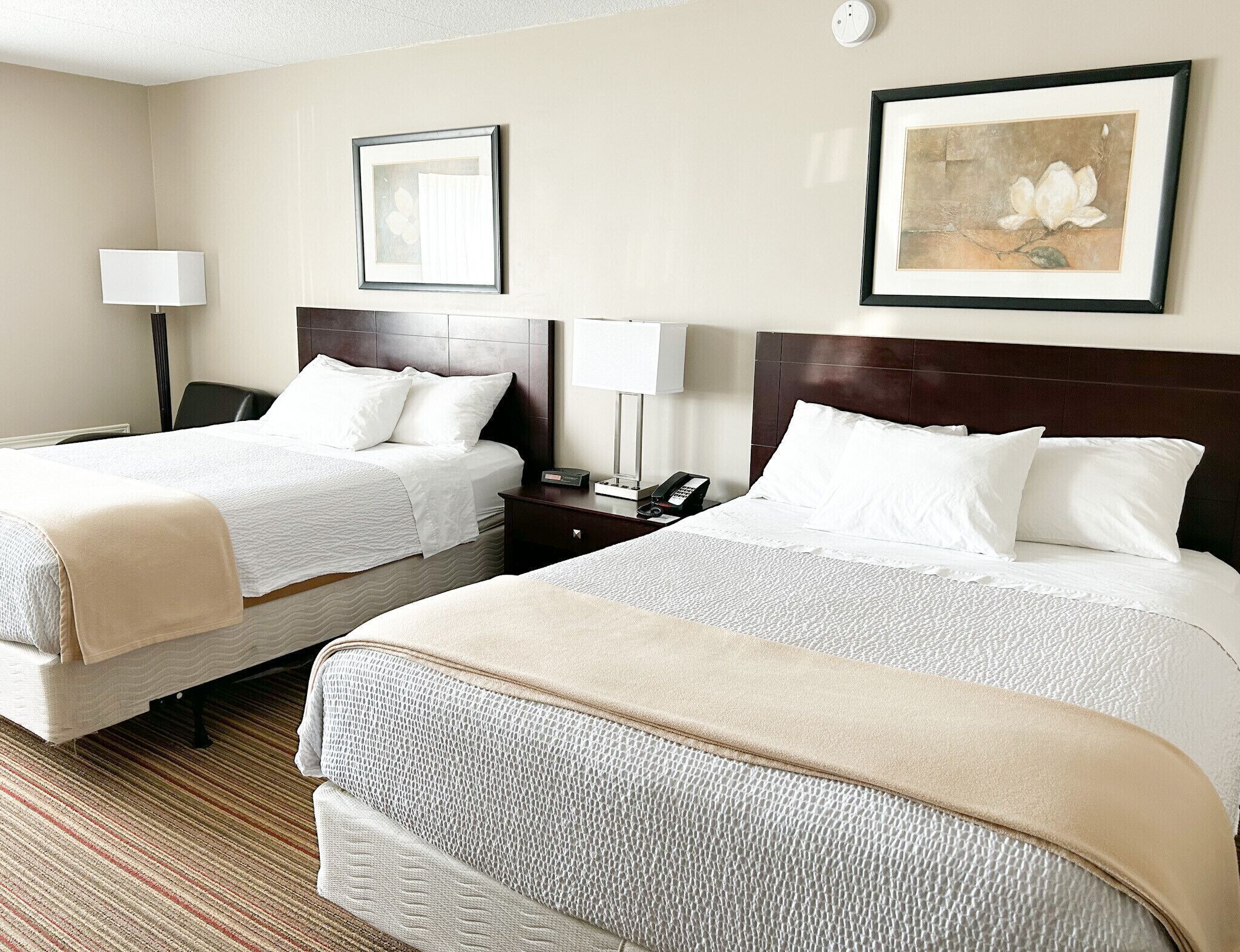 Colchones con pillow-top, escritorio y cortinas blackout 