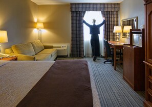 Business Room, 1 King Bed, Non Smoking