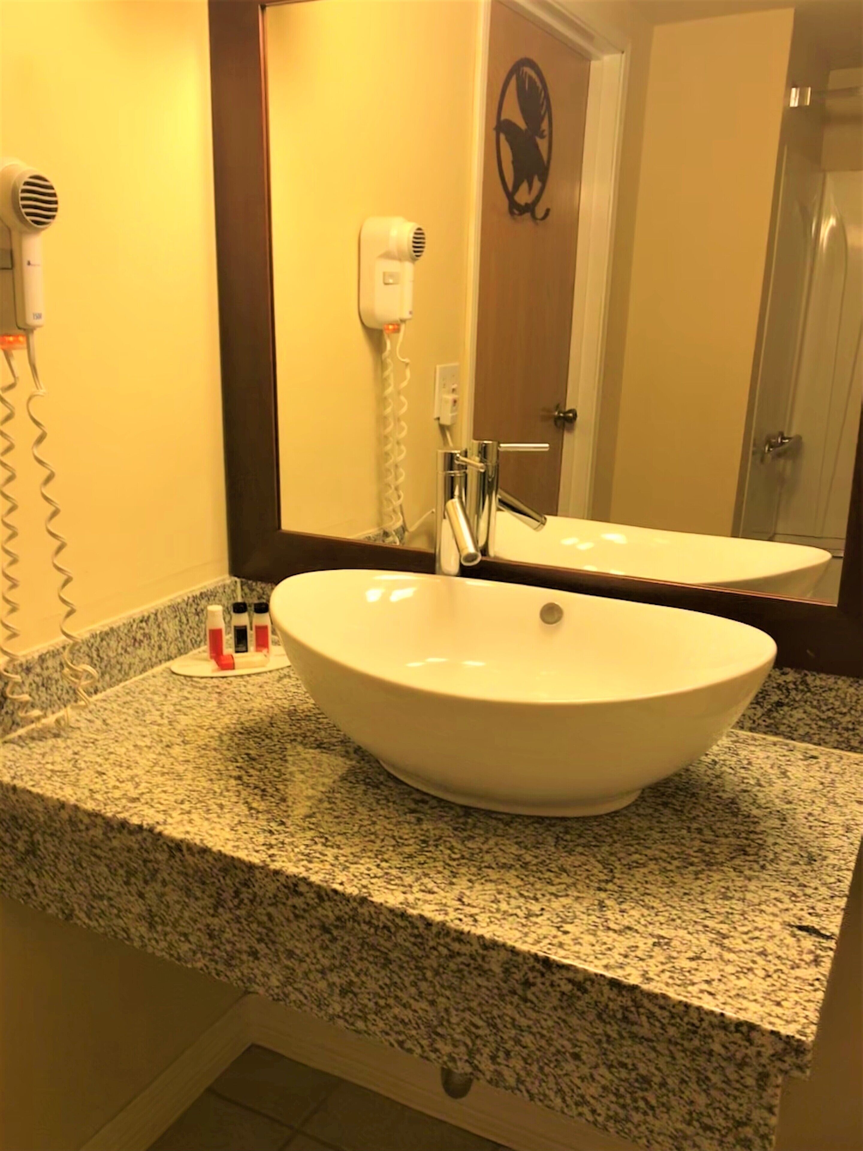 A bathroom with a large oval sink, granite countertop, a mirror, and two hair dryers mounted on the wall.