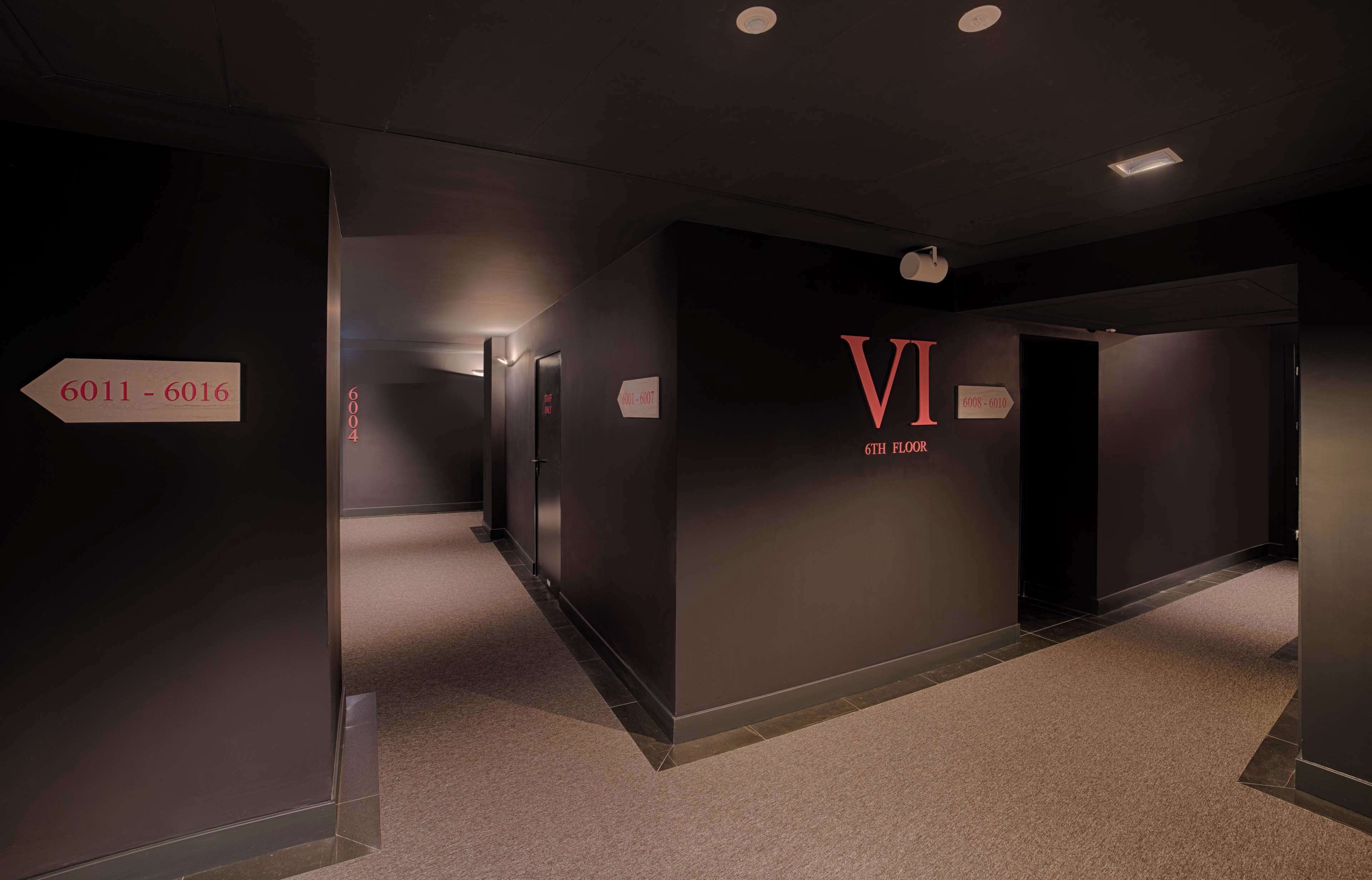 Vista desde la habitación