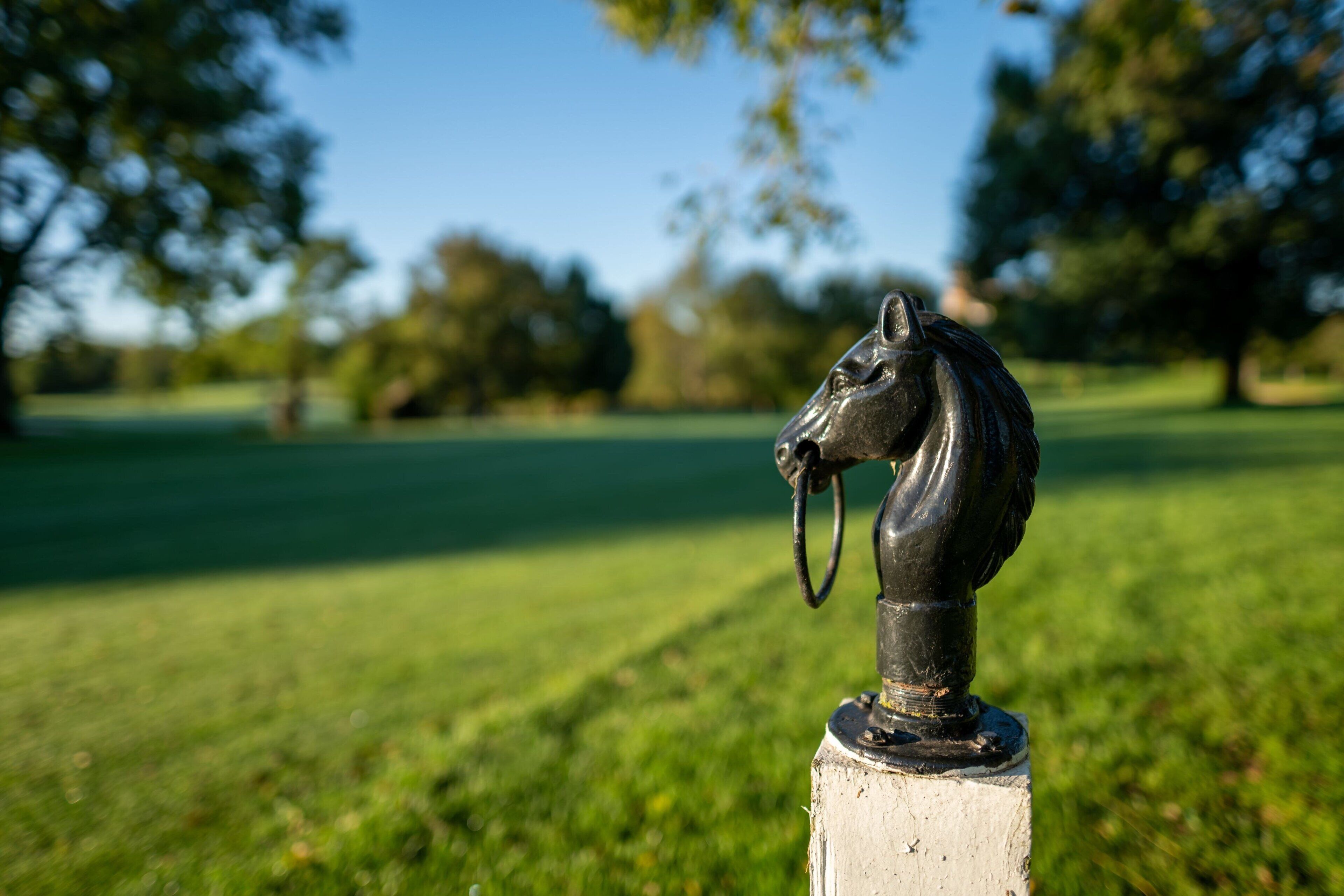 A metal horse head sculpture on a concrete base in a grassy park.