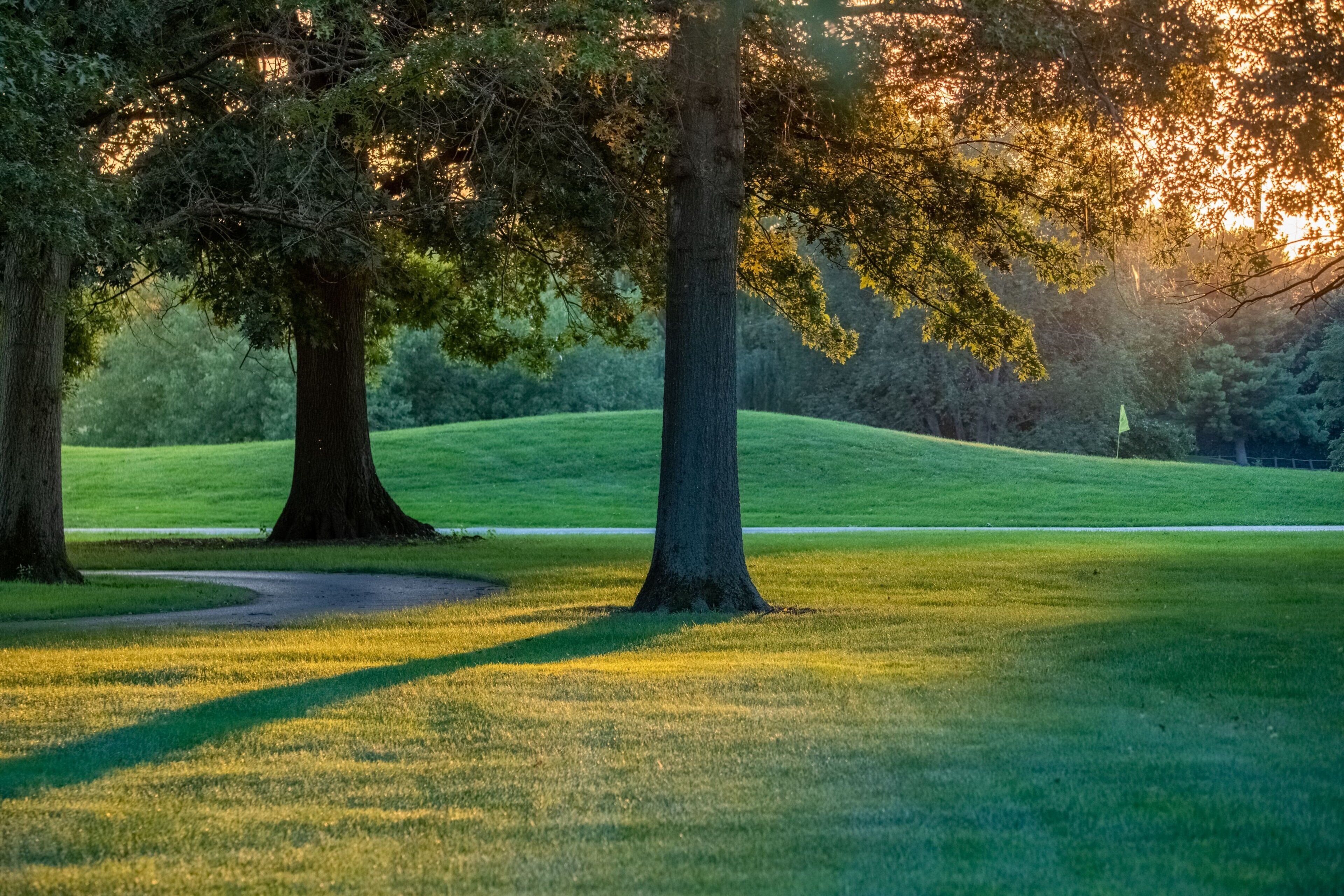 Een golfbaan met bomen, een vlag en een groen veld.