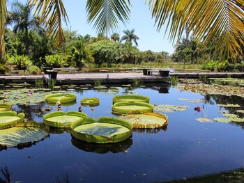 Point of interest at Naples Grande Beach Resort