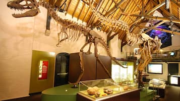 A dinosaur skeleton exhibit in a museum with a wooden ceiling and glass display cases.