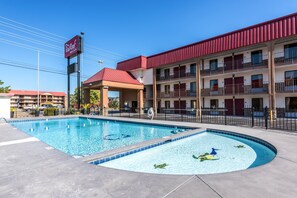 Una piscina al aire libre, sombrillas, sillones reclinables de piscina