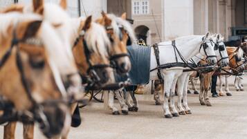 Fasilitet på overnattingsstedet