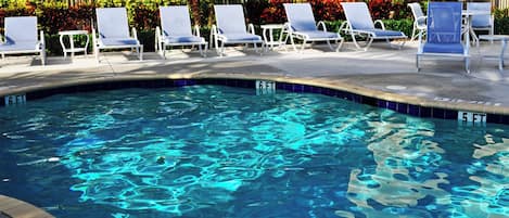 Une piscine avec des chaises longues et un palmier.
