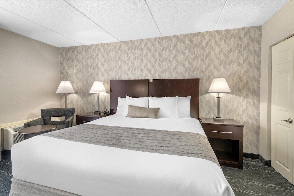 Premium bedding, individually decorated, individually furnished, desk