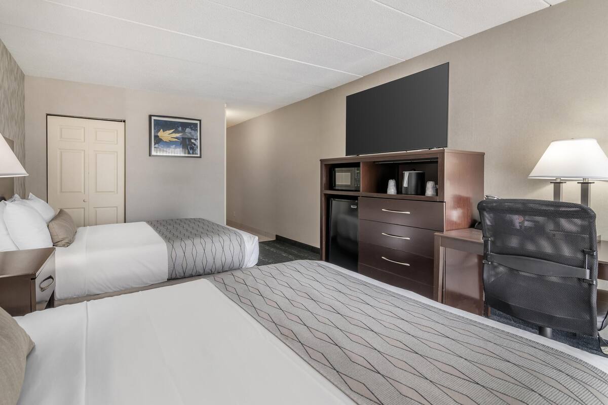Standard Room, 2 Queen Beds, Accessible, Refrigerator & Microwave | Premium bedding, desk, laptop workspace, blackout curtains